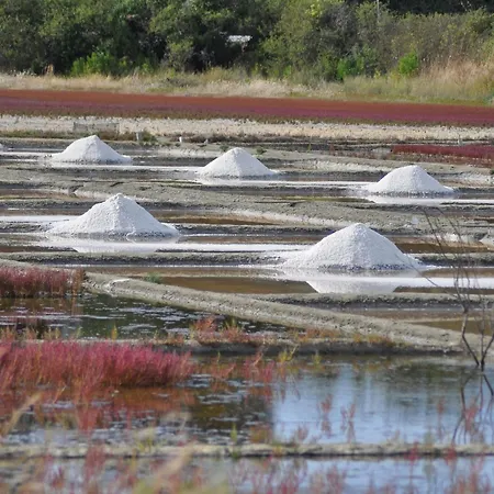 Feriehus Chaumiere Au Calme Avec Terrasse, A 9 Km Des Plages, 3 Chambres, Parking Prive Et Equipements Bebe. - Fr-1-306-1276 *