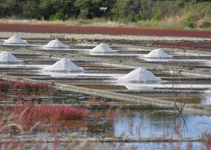 펜션 Chaumiere Au Calme Avec Terrasse, A 9 Km Des Plages, 3 Chambres, Parking Prive Et Equipements Bebe. - Fr-1-306-1276 *